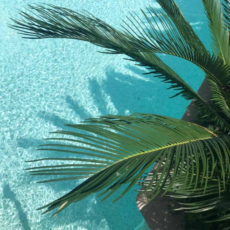 beach-ver2 beach-ver2